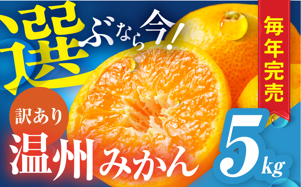 豊橋みかん 訳あり 5kg