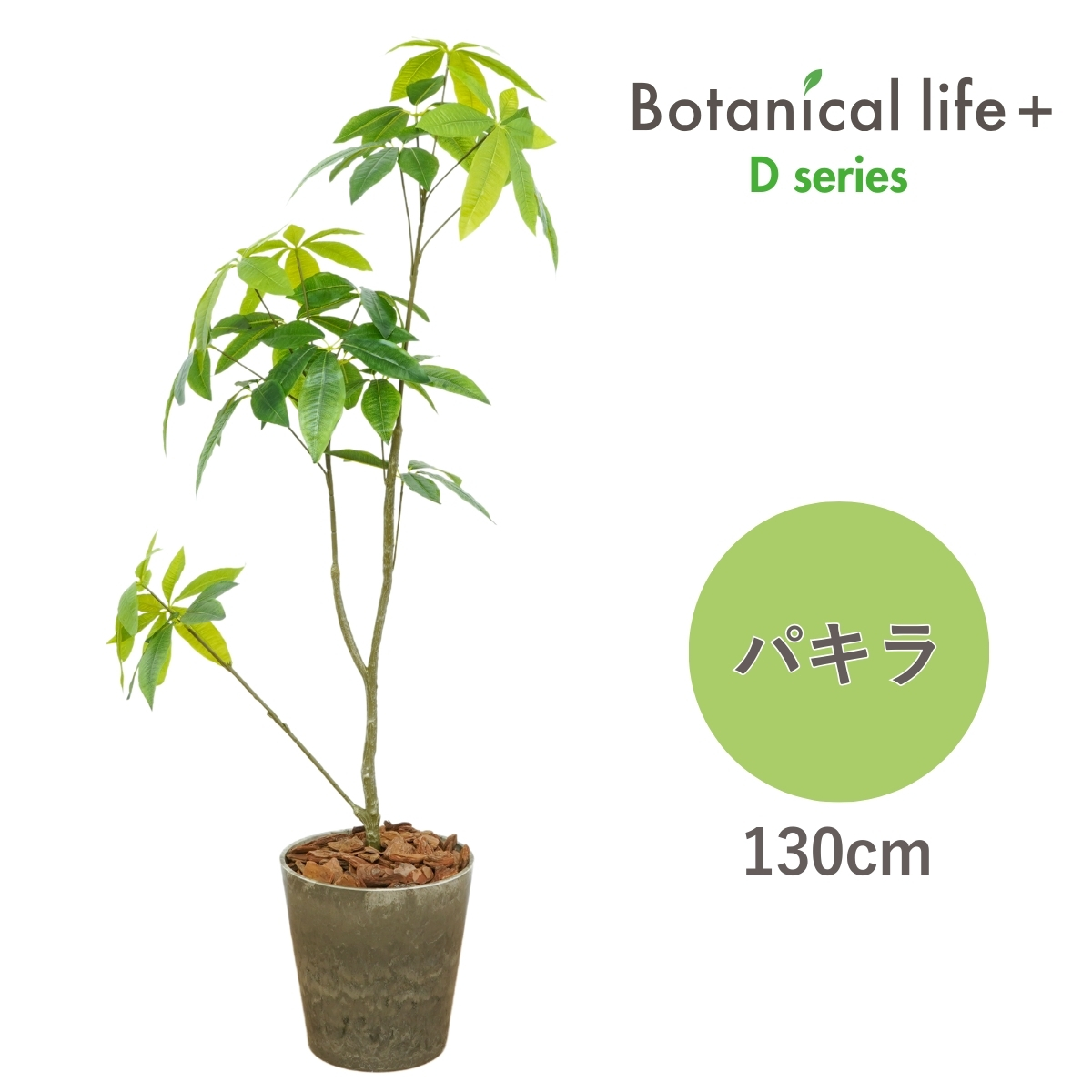 フェイクグリーン Botanical life+ Dシリーズ パキラ 光触媒加工 鉢付き （鉢： ナチュラルカラー ブラウン ） インテリア 抗菌 消臭 愛知県 豊橋市 送料無料 41000円
