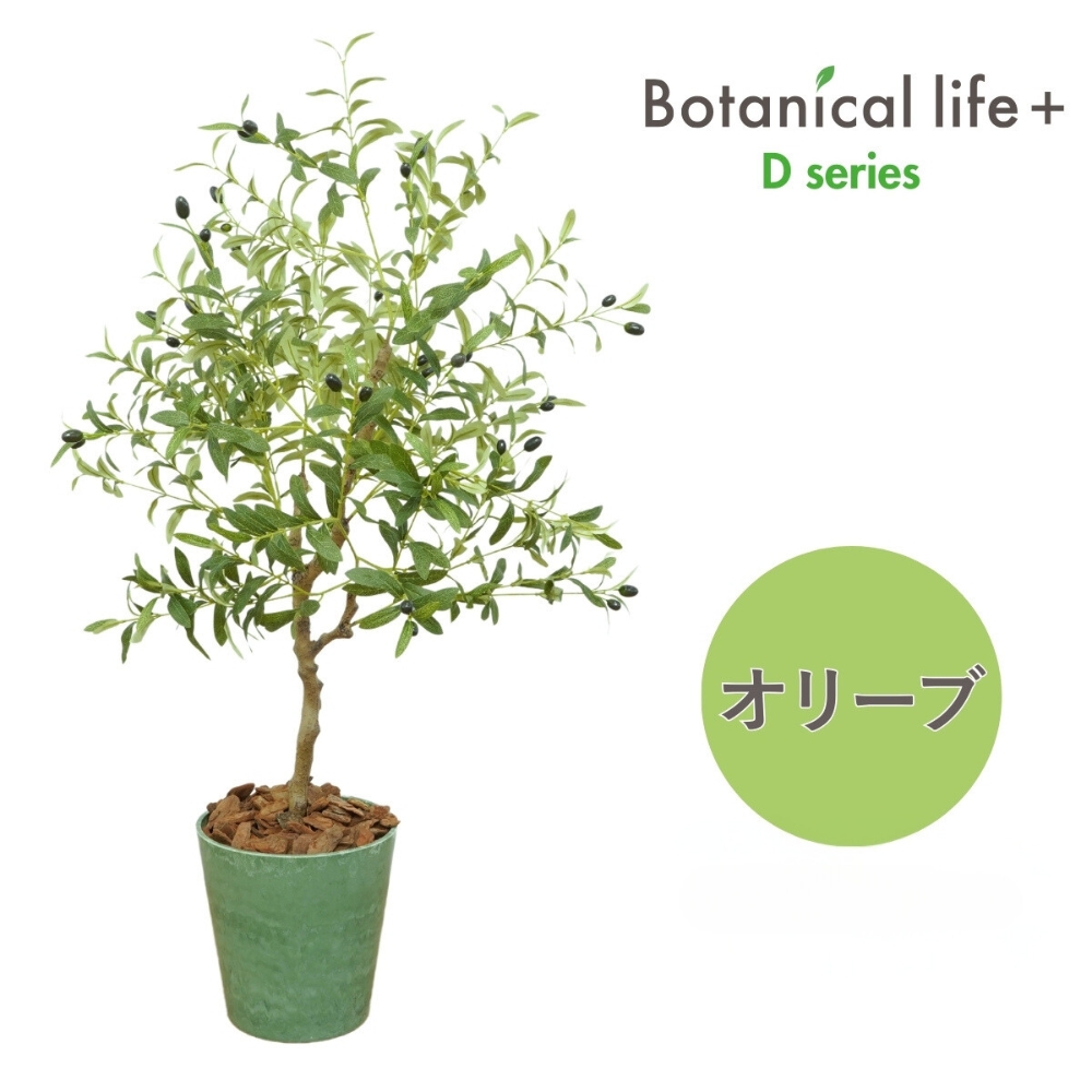フェイクグリーン Botanical life+ Dシリーズ オリーブ 光触媒加工 鉢付き （鉢： ナチュラルカラー グリーン ） インテリア 抗菌 消臭 愛知県 豊橋市 送料無料 52000円