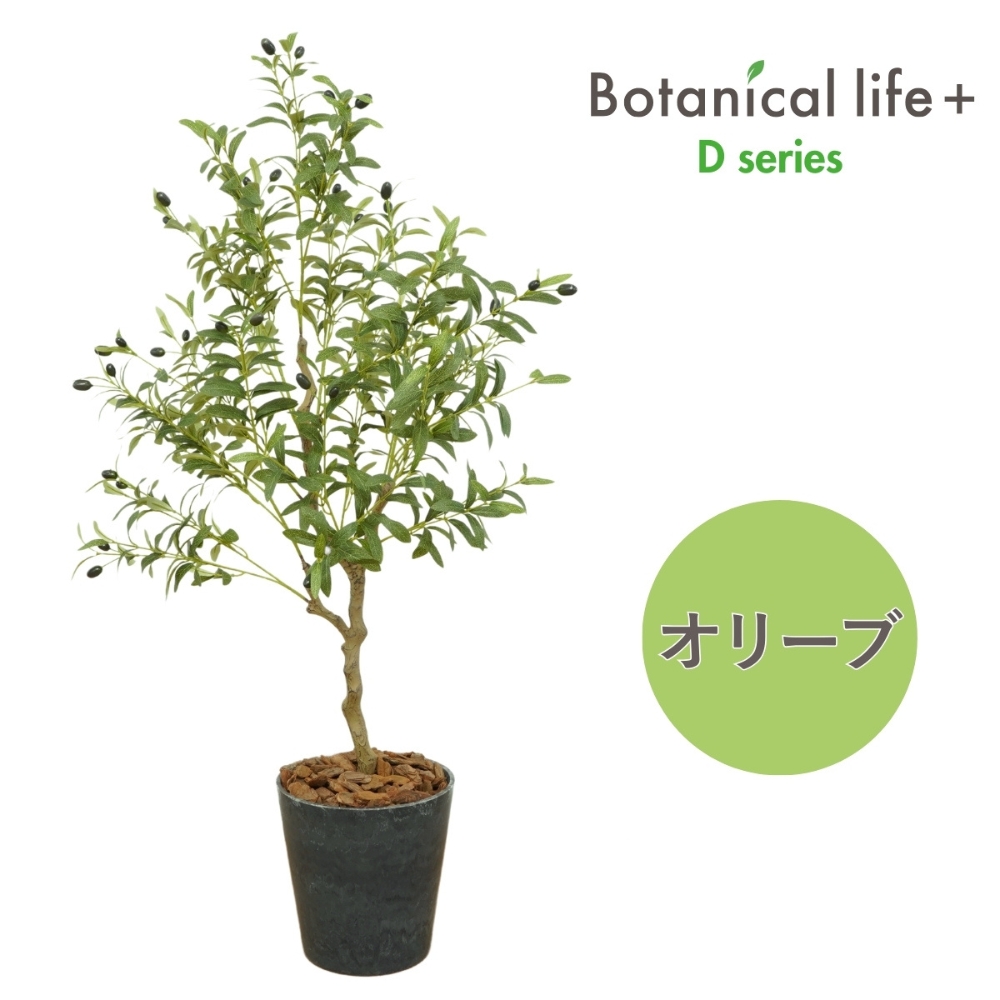 フェイクグリーン Botanical life+ Dシリーズ オリーブ 光触媒加工 鉢付き （鉢： ナチュラルカラー グレー  ） インテリア 抗菌 消臭 愛知県 豊橋市 送料無料 52000円