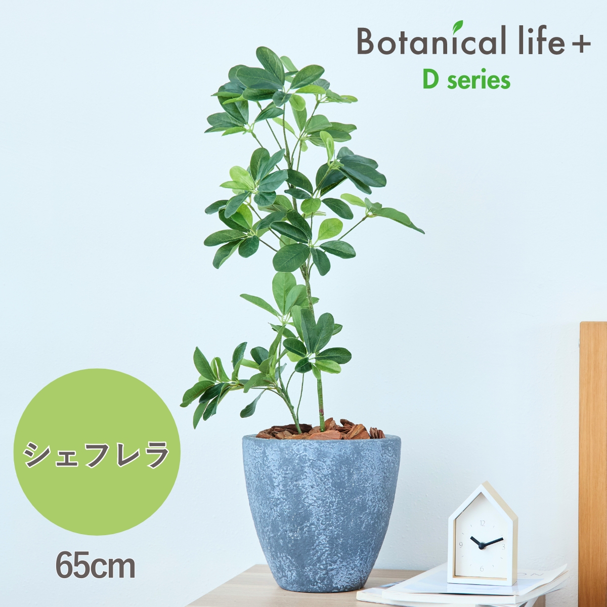 フェイクグリーン Botanical life+ Dシリーズ シェフレラ 65cm 光触媒加工 鉢付き （鉢： 石造り風 ライトストーン） インテリア 抗菌 消臭 愛知県 豊橋市 送料無料 41000円