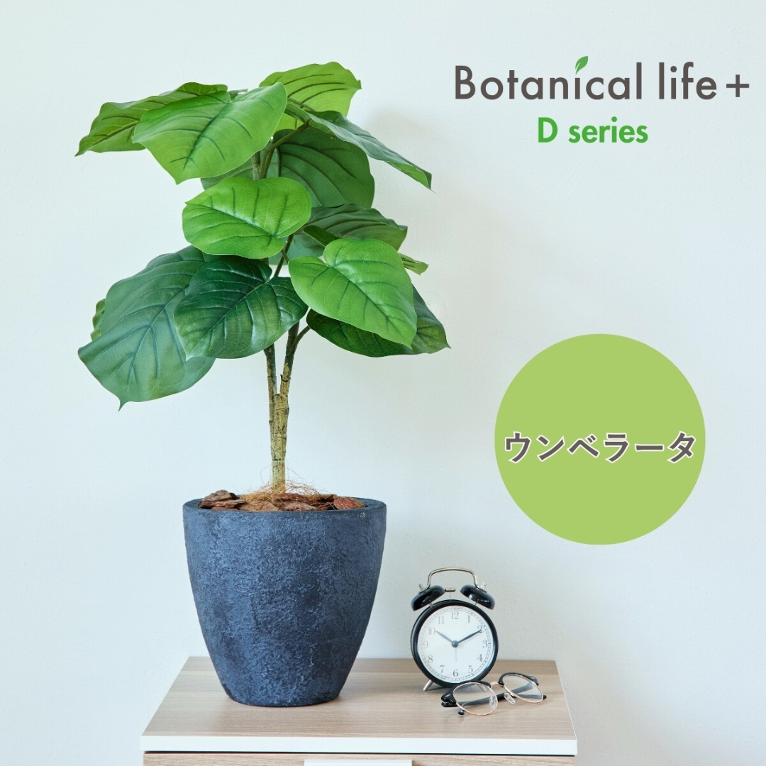 フェイクグリーン Botanical life+ Dシリーズ ウンベラータ 70cm 光触媒加工 鉢付き （鉢： 石造り風 ダークロック） インテリア 抗菌 消臭 愛知県 豊橋市 送料無料 41000円