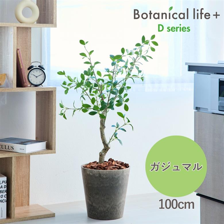 フェイクグリーン Botanical life+ Dシリーズ ガジュマル 100cm 光触媒加工 鉢付き （鉢： ナチュラルカラー ブラウン ） インテリア 抗菌 消臭 愛知県 豊橋市 送料無料 41000円