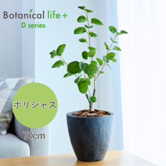 フェイクグリーン Botanical life+ Dシリーズ ポリシャス 70cm 光触媒加工 鉢付き （鉢： 石造り風 ダークロック ） インテリア 抗菌 消臭 愛知県 豊橋市 送料無料 35000円