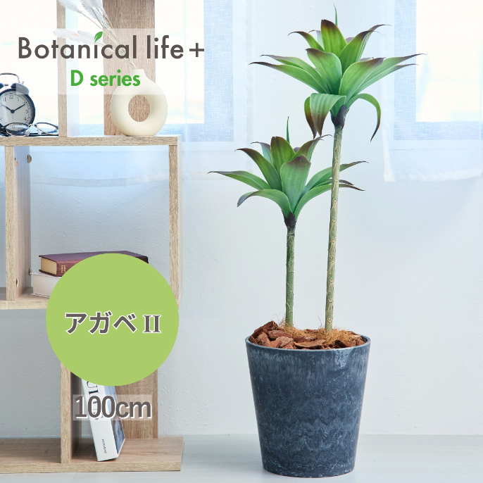 フェイクグリーン Botanical life+ Dシリーズ アガベII 100cm 光触媒加工 鉢付き （鉢： ナチュラルカラー グレー ） インテリア 抗菌 消臭 愛知県 豊橋市 送料無料 47000円