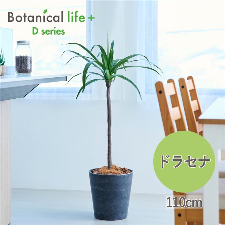 フェイクグリーン Botanical life+ Dシリーズ ドラセナ 110cm 光触媒加工 鉢付き （鉢： ナチュラルカラー グレー ） インテリア 抗菌 消臭 愛知県 豊橋市 送料無料 41000円