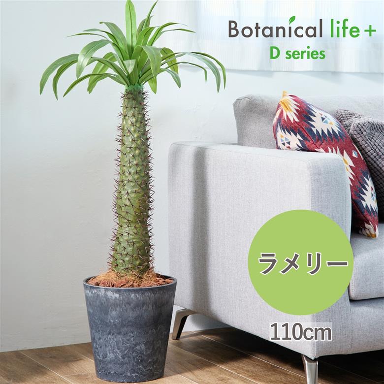 フェイクグリーン Botanical life+ Dシリーズ ラメリー 110cm 光触媒加工 鉢付き （鉢： ナチュラルカラー グレー ） インテリア 抗菌 消臭 愛知県 豊橋市 送料無料 52000円