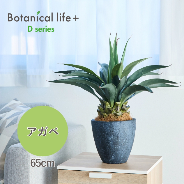 フェイクグリーン Botanical life+ Dシリーズ アガベ 65cm 光触媒加工 鉢付き （鉢： 石造り風 ダークロック ） インテリア 抗菌 消臭 愛知県 豊橋市 送料無料 41000円