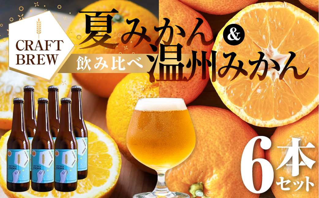 東三河の地産地消にこだわったクラフトビール『ＤＡＭＯＮＤＥ』夏みかん・温州みかん（２種６本セット） ビール ビールセット 贈答 ギフト お祝い お酒 地ビール 地酒 瓶ビール おススメ ギフト プレミアムビール BBQ 差し入れ クラフト 麦酒 愛知県 豊橋市