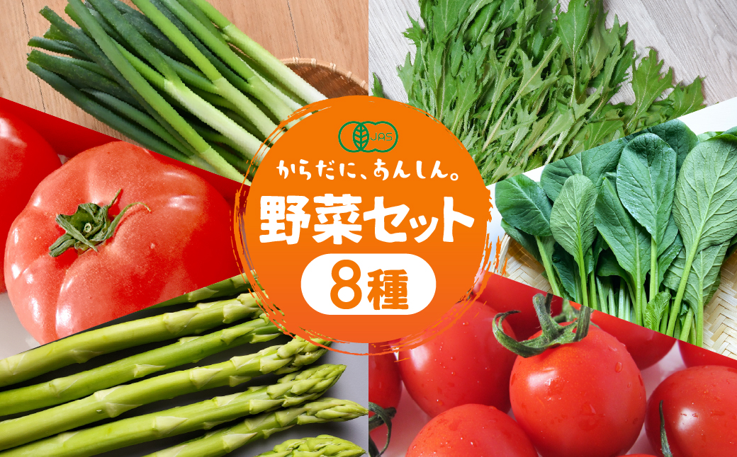 【先行予約】功農野菜8種類セット 8種 野菜 セット 有機栽培 ミニトマト アスパラ トマト ほうれん草 水菜 春菊 ネギ 小松菜 高糖度 新鮮 産地直送 季節の野菜 詰め合わせ やさい 自然 安心安全 旬 送料無料 愛知県 豊橋市