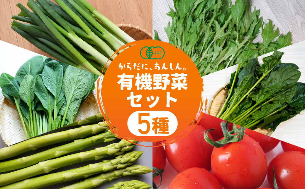【先行予約】有機野菜セット 5種 野菜 セット 有機栽培 ミニトマト アスパラ ほうれん草 水菜 春菊 高糖度 新鮮 産地直送 季節の野菜 詰め合わせ やさい 自然 安心安全 旬 有機 送料無料 愛知県 豊橋市
