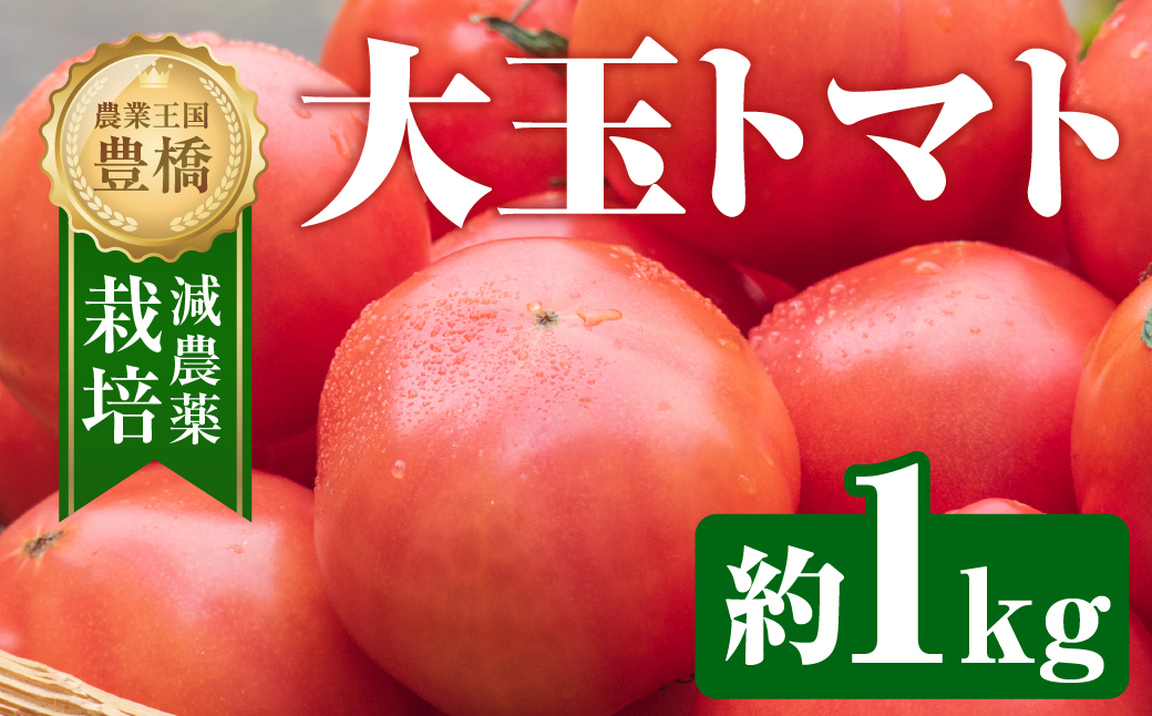 【先行予約】大玉トマト 約 1kg トマト 大玉 濃厚 甘い 美味しい 高糖度 完熟 tomato とまと やさい 自然 安心安全 旬 送料無料 愛知県 豊橋市