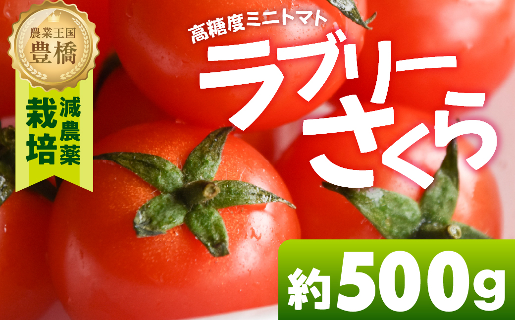 【先行予約】あま～い！ミニトマト 約 500g トマト ミニトマト 濃厚 甘い 美味しい 高糖度 完熟 tomato とまと やさい 自然 安心安全 旬 送料無料 愛知県 豊橋市