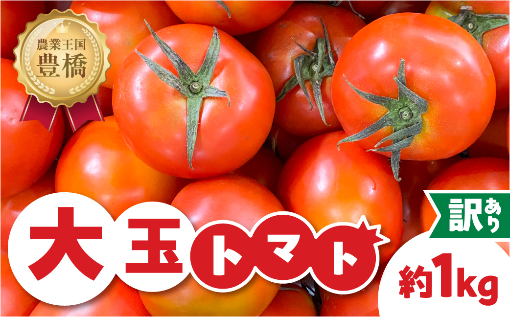 ≪先行予約 2026年発送≫ 訳ありトマト 約1kg とまと トマト tomato 野菜 甘み サンドイッチ サラダ 訳あり 訳アリ わけあり ワケアリ 規格外 旬 旬の野菜 健康 愛知県 豊橋市