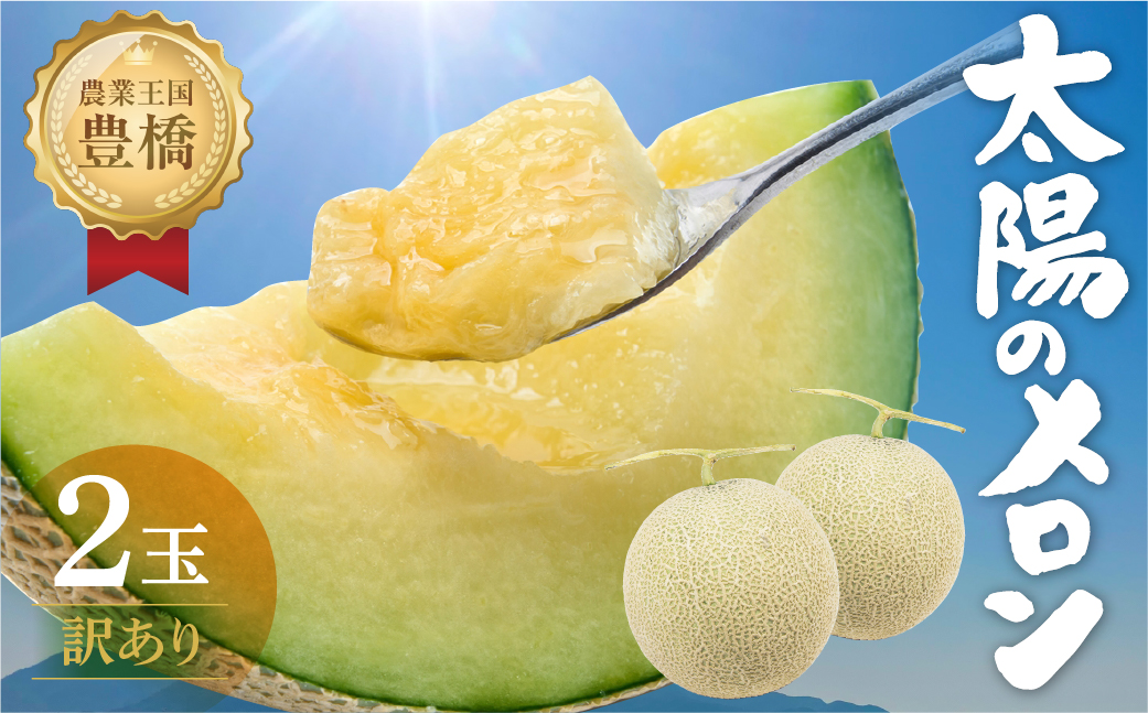 ≪先行予約 2026年発送≫ 温室マスクメロン 2玉【訳あり】めろん メロン マスクメロン 訳あり わけあり 果物 フルーツ デザート 旬 旬の果物 高糖度 糖度 1万円 10000円 愛知県 豊橋市