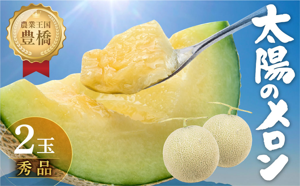 ≪先行予約 2026年発送≫ 温室マスクメロン 2玉【贈答】めろん メロン マスクメロン 果物 フルーツ デザート 旬 旬の果物 高糖度 糖度 愛知県 豊橋市