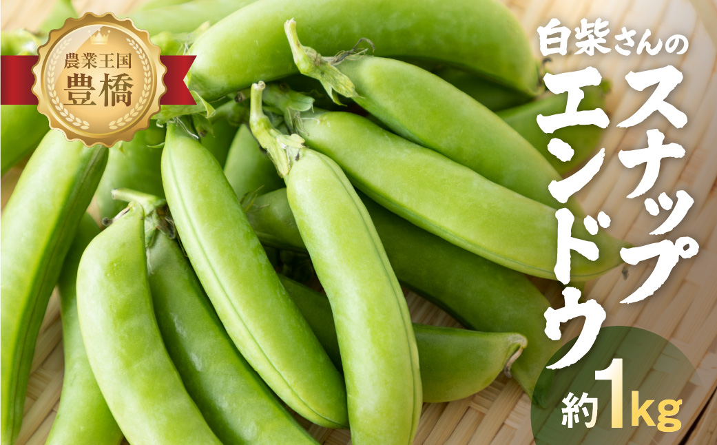 ≪先行予約≫スナップエンドウ 約1kg 産地直送 スナップ スナックエンドウ エンドウ 豆 サラダ 美味しい 料理 野菜 健康 栄養 簡単 農家直送 1キロ 高糖度 糖度 1万円 10000円 愛知県 豊橋市