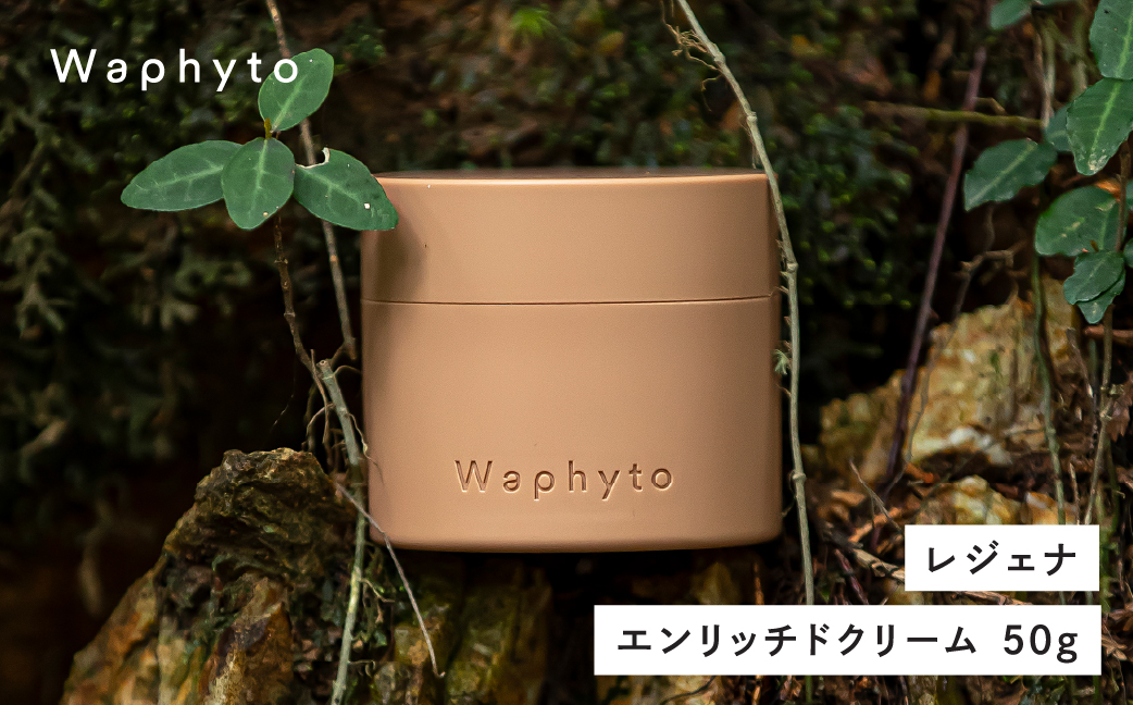 Waphyto レジェナ エンリッチドクリーム 50g ワフィト 化粧品 クリーム 保湿クリーム スキンケア コスメ 保湿ケア ギフト プレゼント おすすめ おススメ 美容 愛知県 豊橋市