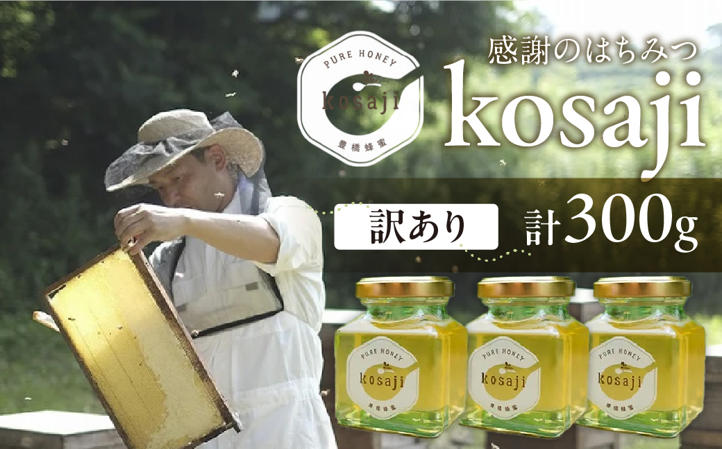 【kosaji】春はちみつ 300g 訳あり(100g×3) 蜂蜜 はちみつ 国産 常温 はちみつ ハチミツ 蜂蜜 ハニー 送料無料 愛知県 豊橋市