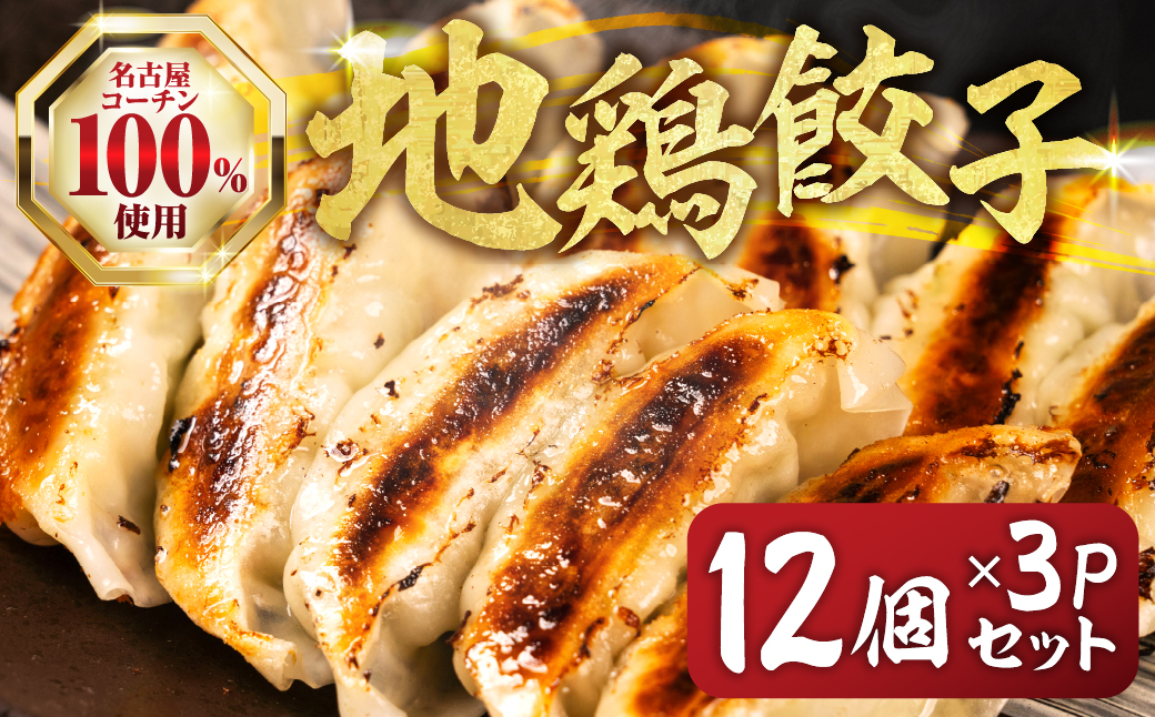 名古屋コーチン餃子 36個 (12個入×3パック) 冷凍餃子 こだわり餃子 おススメ 美味しい 餃子 ぎょうざ ギョウザ ギョーザ 惣菜 冷凍 名古屋コーチン 地鶏 ブランド地鶏 冷凍食品 セット 国産 国産素材 詰め合わせ 愛知県 豊橋市