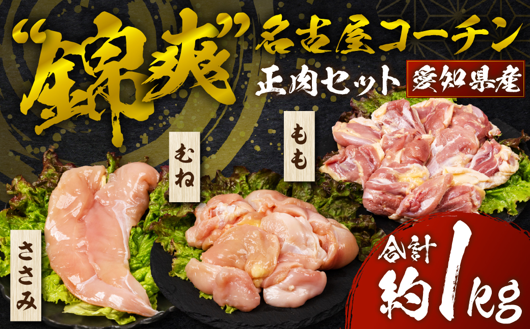 名古屋コーチン 正肉セット 800g 国産 もも むね ささみ 鶏肉 鳥肉 約 1kg 1キロ モモ ムネ もも肉 むね肉 ささみ とりささみ ブランド鶏 地鶏 ブランド地鶏 とりもも とりむね 錦爽鶏 愛知県 豊橋市 肉 お肉 冷蔵 1万円 10000円 愛知県 豊橋市