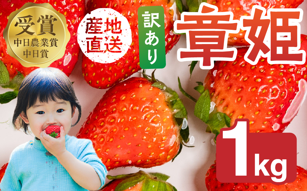 ≪先行予約！≫ 章姫 訳ありいちご 計1kg ( 約250g × 4 ) いちご イチゴ 苺 フルーツ 旬 果物 採れたて 10000円 1万円 ショートケーキ フルーツサンド にも スイーツ 産地直送 完熟 国産 冷蔵 愛知県 豊橋市 豊橋 わけあり 規格外
