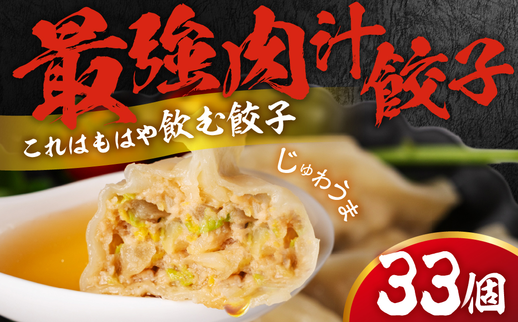 とよはし 訳あり『最強肉汁餃子』33個【ご家庭用】簡易包装