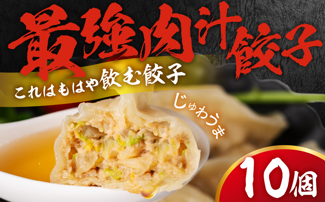 とよはし お試しサイズ『最強肉汁餃子』10個入り 簡易包装