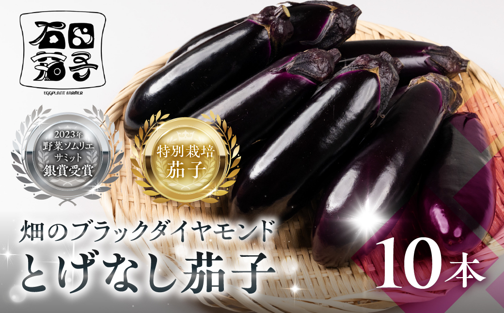 ≪先行予約≫とげなし茄子10本 ナス 茄子 なす なすび 野菜 旬 旬の野菜 糖度 石田茄子 トゲなし　とげなし お取り寄せ 健康 夕飯 おかず 愛知県 豊橋市