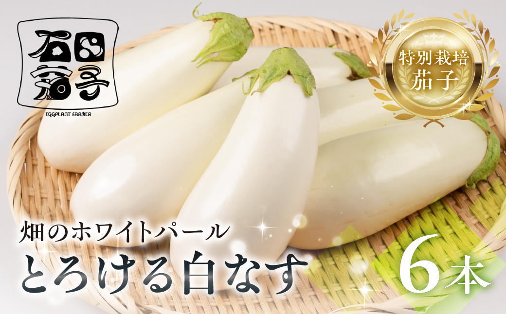 ≪先行予約≫白茄子 6本 ナス 茄子 なす なすび 白なす しろなす 白ナス 白茄子 野菜 旬 旬の野菜 糖度 石田茄子 お取り寄せ 健康 夕飯 おかず 愛知県 豊橋市