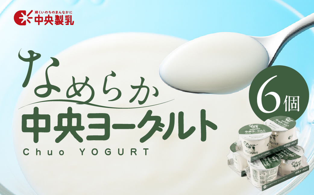 中央製乳 中央ヨーグルト2p 6個 セット こだわり なめらか おやつ デザート 乳製品 乳酸菌 健康 腸活 ロングセラー 愛知県 豊橋市