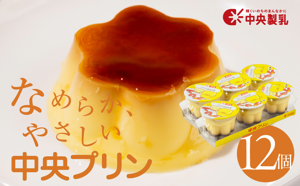 中央製乳 中央プリン3p 12個 セット こだわり なめらか おやつ デザート 定番 甘い たまご カラメルソース 厳選素材 愛知県 豊橋市