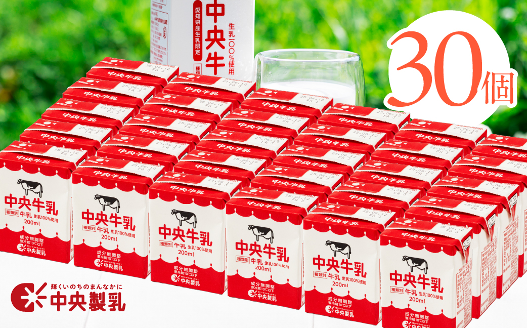 中央製乳 中央牛乳200ml 30本セット 牛乳 ミルク 成分無調整 牛乳 新鮮 生乳100%使用 愛知産生乳限定 飲みきりサイズ 愛知県 豊橋市