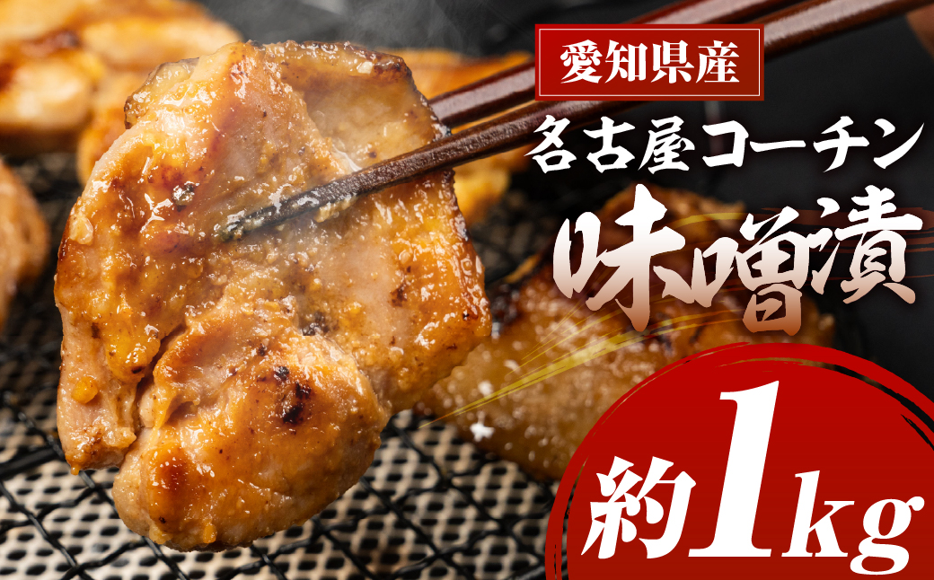 名古屋コーチン味噌漬 800g 味付け肉 味付き肉 味付け 味付き 国産 もも むね 鶏肉 鳥肉 モモ ムネ もも むね 名古屋コーチン 地鶏 ブランド地鶏 とりもも とりむね 錦爽鶏 愛知県 豊橋市 肉 お肉 冷凍 愛知県 豊橋市