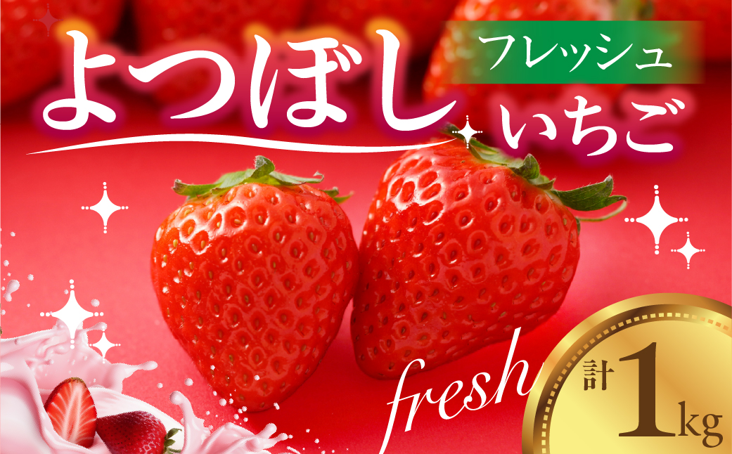【ふるさと納税】＜先行予約＞いちご よつぼし 苺 1kg 新鮮 国産