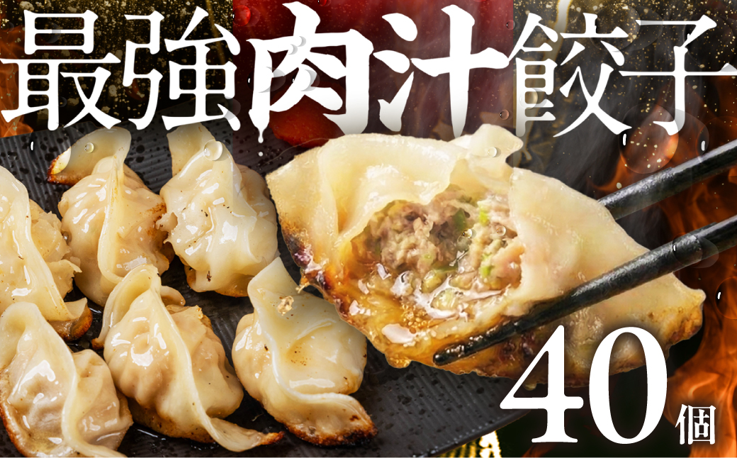 ＼メディアで話題！／ 最強肉汁餃子 2箱（40個） 餃子 冷凍餃子 惣菜 ギョーザ ぎょうざ 中華 簡単調理 簡単 人気 ランキング 肉汁 美味しい 国産素材 豚肉 豚 ギフト 贈答 もっちり 冷凍惣菜 お惣菜 つまみ 愛知県 豊橋市