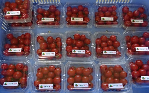 豊橋市立くすのき特別支援学校の生徒たちが栽培したミニトマト（手作り作業製品付き）