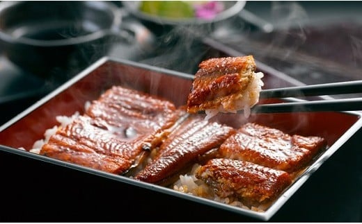 愛知三河産　うなぎカット蒲焼