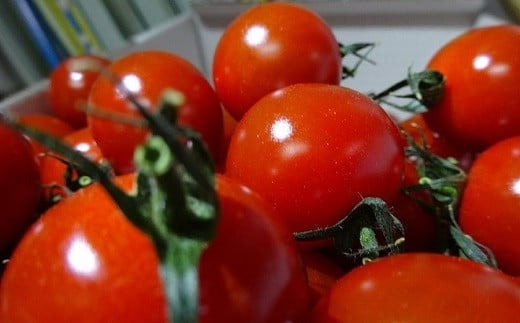 【先行予約】農業王国豊橋の『高糖度ミニトマト麗（れい）』１kgバラ