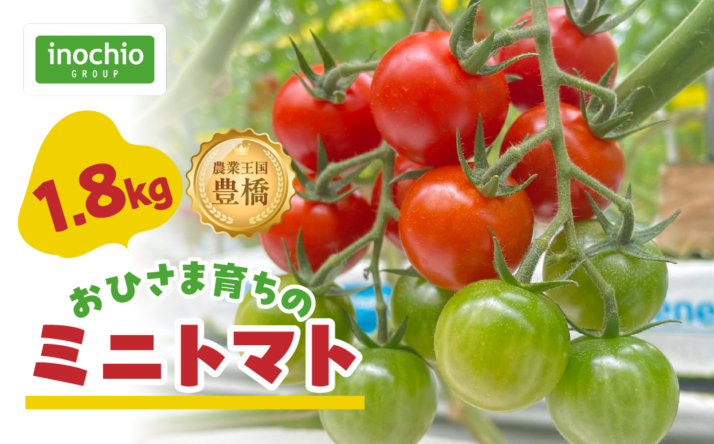 【先行予約】おひさま育ちのミニトマト　1.8kg