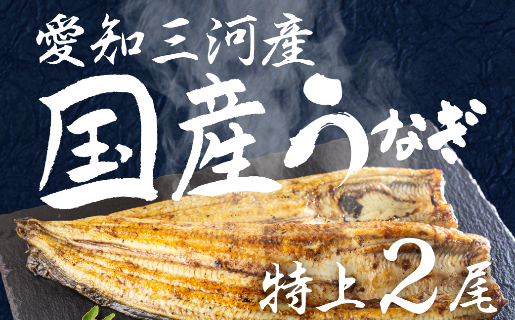 愛知県三河産　うなぎ　白焼き 2尾