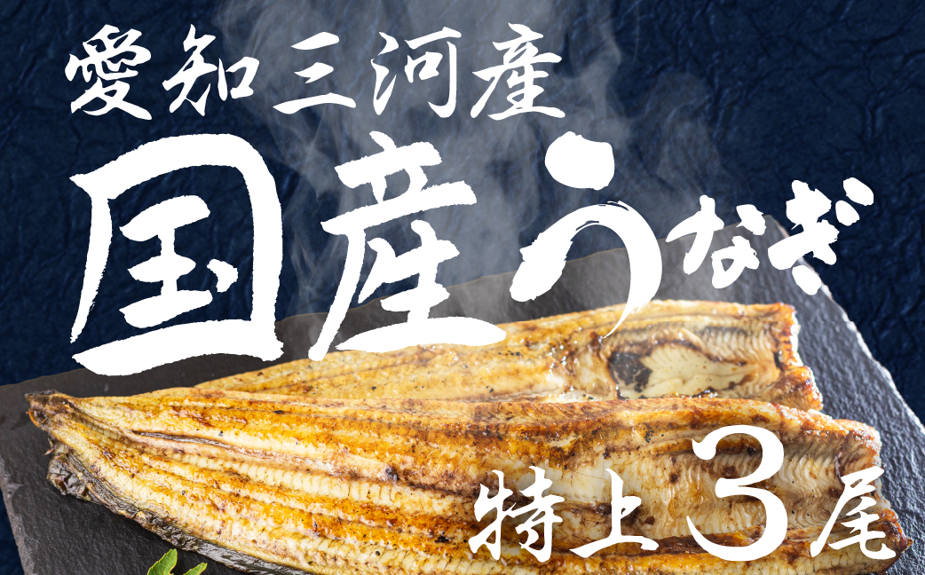 愛知県三河産　うなぎ　白焼き 3尾