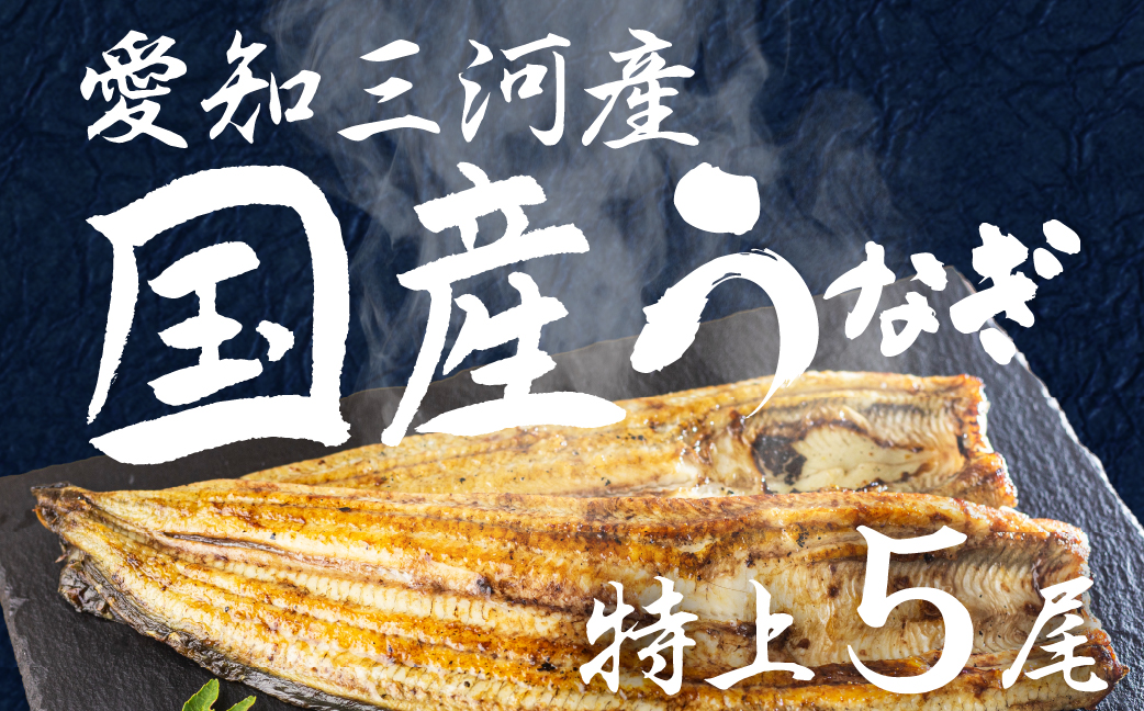 愛知県三河産　うなぎ　白焼き 5尾