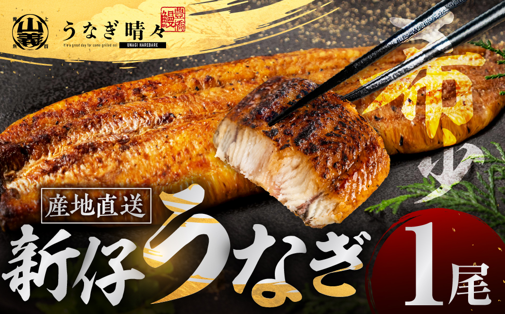 山義養魚の『うなぎ晴々』 1尾 希少  豊橋うなぎ 蒲焼 厳選 国産 新仔うなぎ 若うなぎ 鰻 簡易包装 ウナギ うなぎ 鰻 蒲焼 ギフト ひつまぶし 土用丑の日 ギフト 冷凍  丑の日 簡単調理 豊橋うなぎ お取り寄せ 送料無料