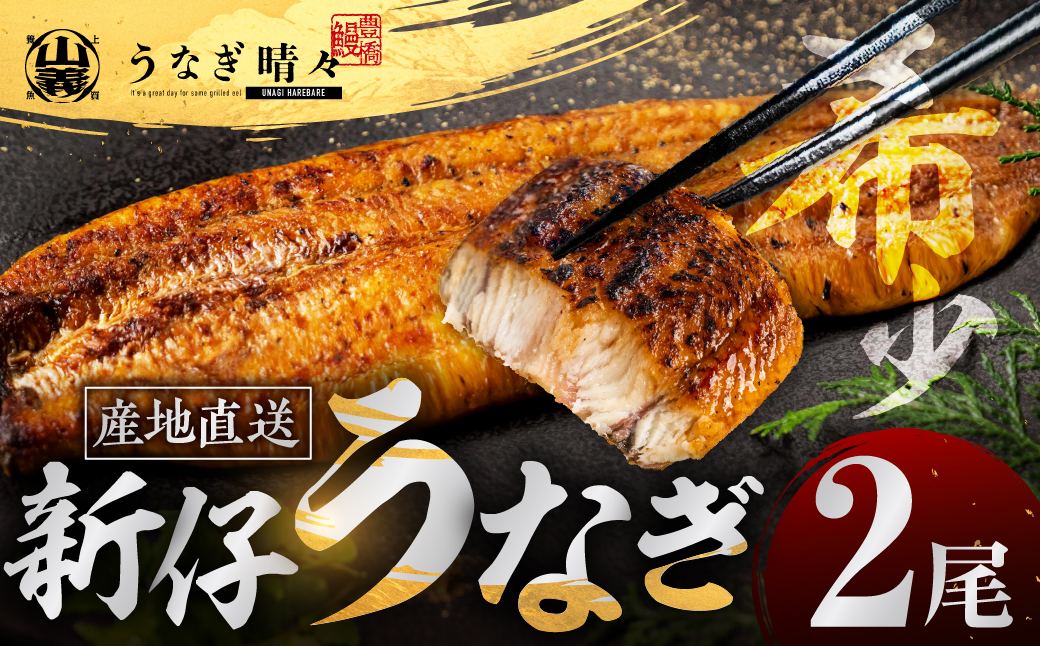 山義養魚の『うなぎ晴々』 2尾 希少  豊橋うなぎ 蒲焼 厳選 国産 新仔うなぎ 若うなぎ 鰻 簡易包装 ウナギ うなぎ 鰻 蒲焼 ギフト ひつまぶし 土用丑の日 ギフト 冷凍  丑の日 簡単調理 豊橋うなぎ お取り寄せ 送料無料