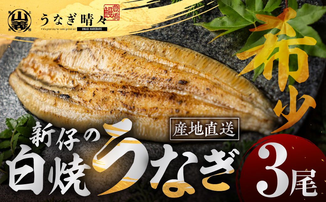 山義養魚の『うなぎ晴々』 白焼 3尾 希少 豊橋うなぎ 厳選 国産 新仔うなぎ 若うなぎ 鰻 簡易包装 ウナギ 鰻 ギフト 土用丑の日 ギフト 冷凍 お取り寄せ 送料無料 日本酒と わさび 山椒 塩 大人 贅沢