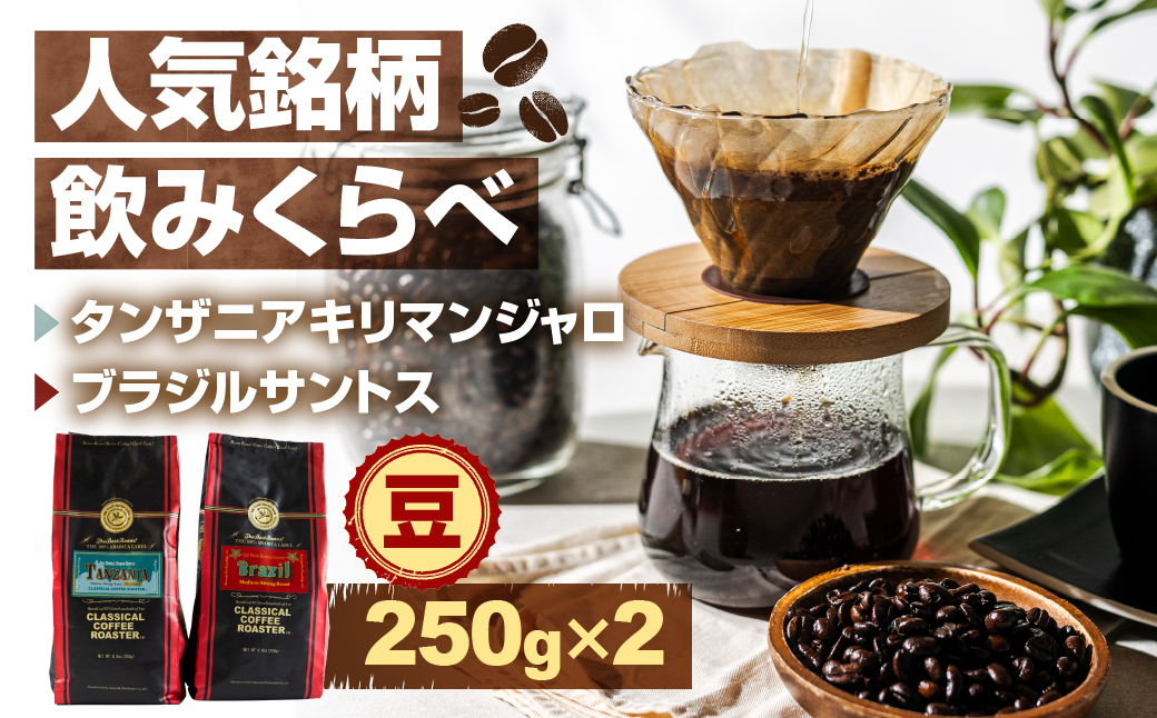 コーヒー豆 人気銘柄飲み比べセット 計500g シングルオリジン タンザニア キリマンジャロ ブラジル サントス 簡易包装 珈琲 お試し 送料無料 愛知県 豊橋市