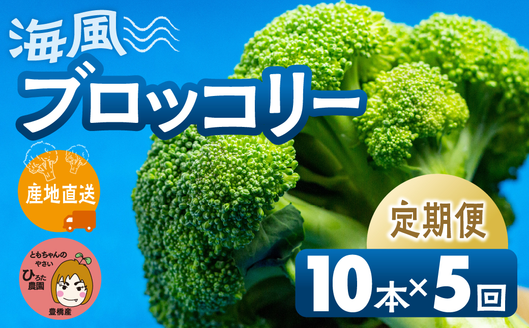 ≪先行予約≫ブロッコリー 10本 ×5回お届け 豊橋 国産 ミネラルたっぷり 海風そだち 潮風 家族で 大容量 豊橋 ともちゃんのやさい 直売所で大人気！ 愛知県 豊橋市 安心野菜