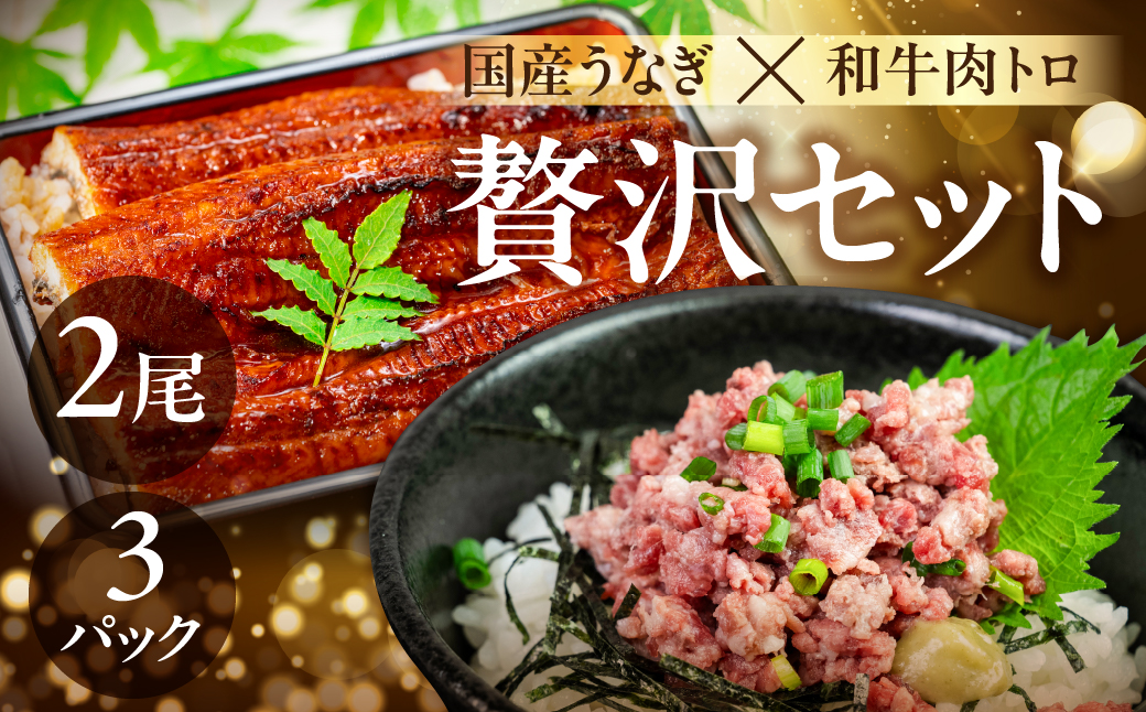 国産うなぎ & 牛肉トロ セット うなぎ 肉トロ 訳あり 蒲焼 2尾 牛トロ 3パック ウナギ 鰻 蒲焼き 土用丑の日 丑の日 簡単調理 惣菜 おつまみ 牛フレーク 生肉 生食用 生食 レア unagi 暑さ 対策 贅沢 簡単調理 惣菜 愛知県 豊橋市