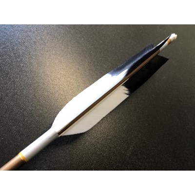 七面鳥アルミ矢「1913」　6本組(シャフト色:茶　矧ぎ糸:白系)